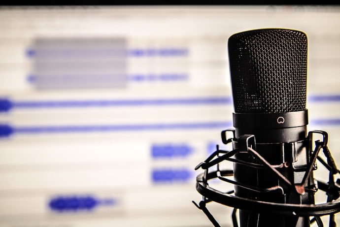 Attributes of a voice over artist