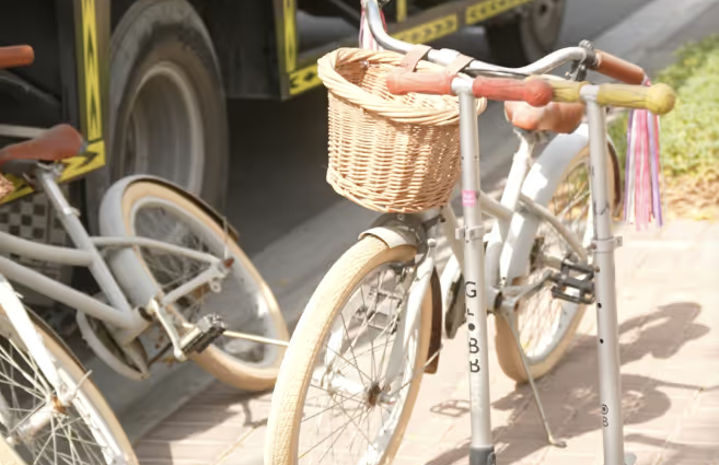 How Junk Collectors Save Time During Cleanouts and Moves